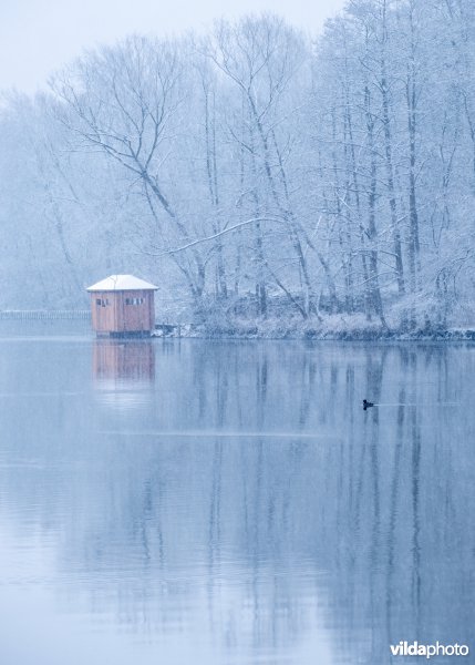 Winter in het provinciaal domein Kessel-Lo