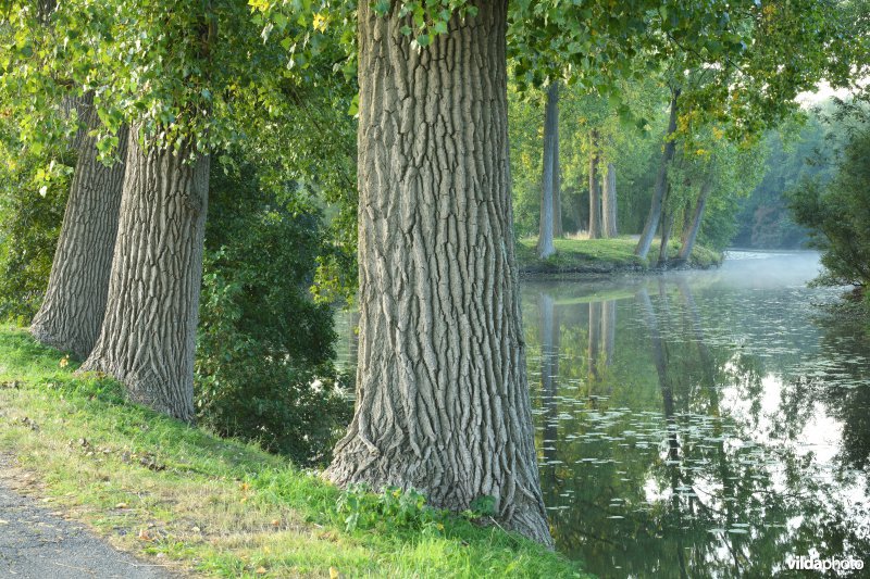 Oude Scheldemeander Van Looyput