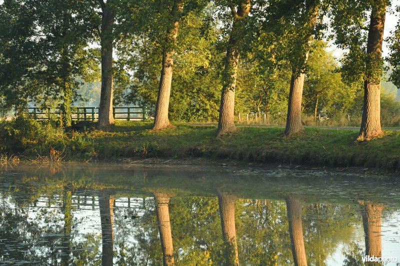 Oude Scheldemeander Van Looyput