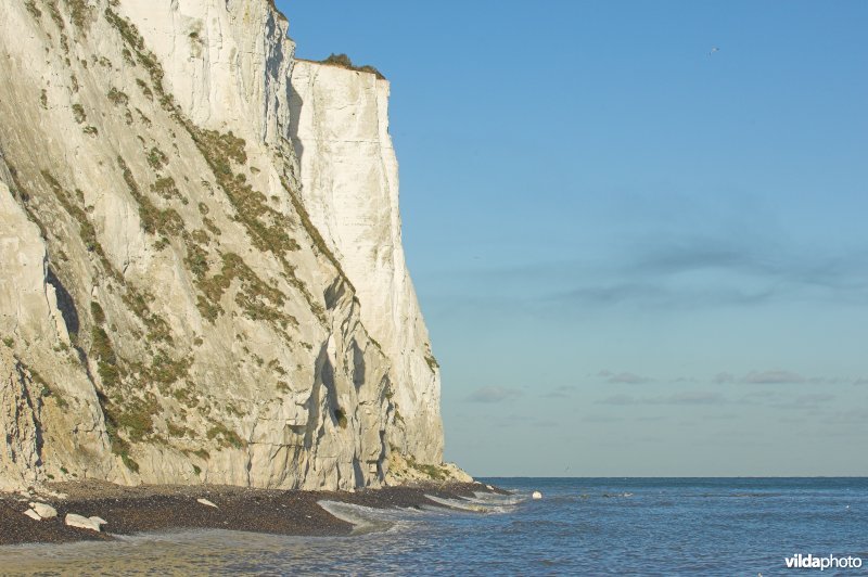 White cliffs van Dover