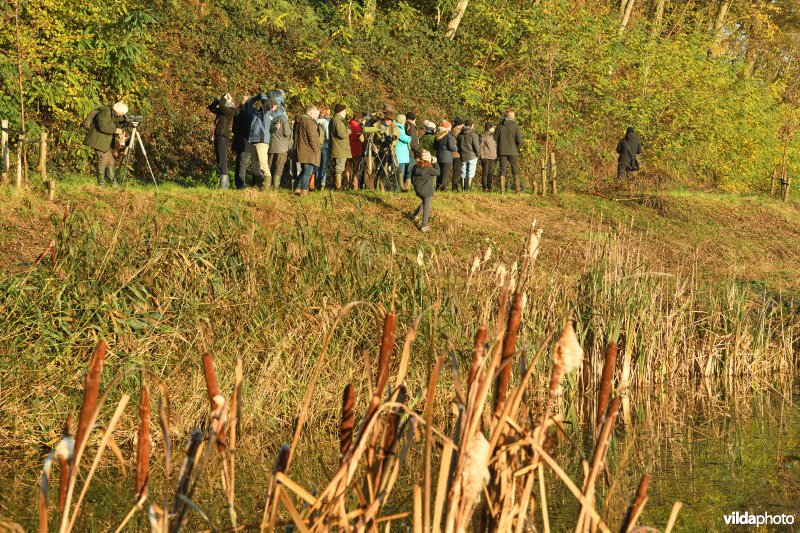 Wandelaars in de Demerbroeken