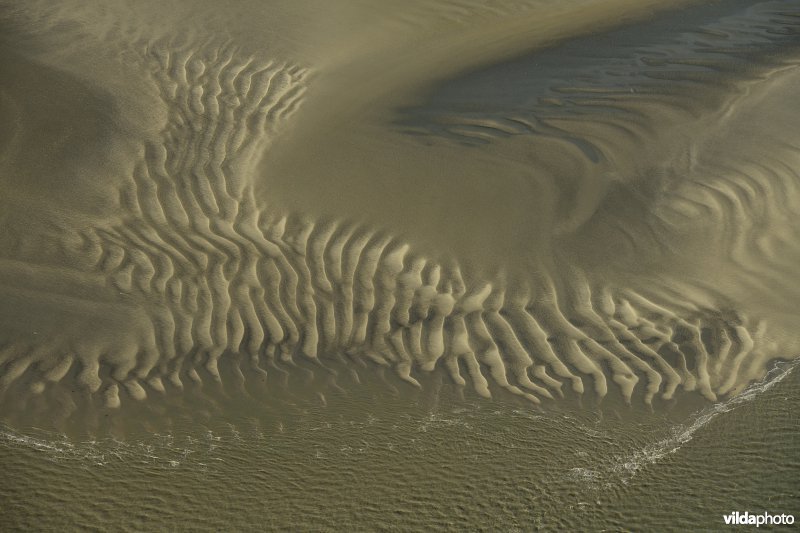 Het Verdronken land van Saeftinge