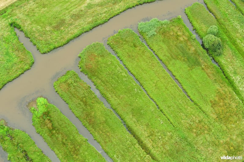 Laantjes in de Latemse Meersen