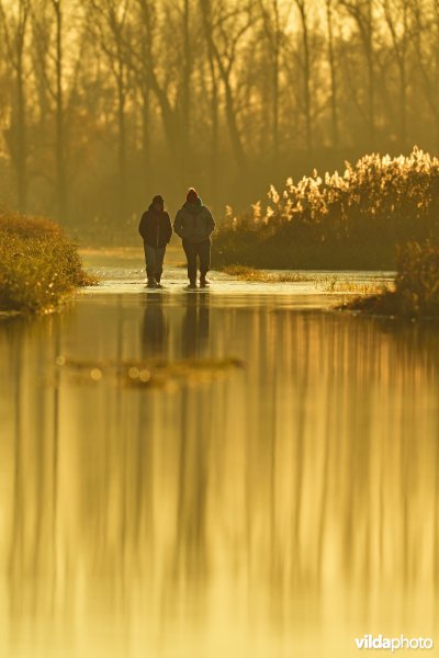 Wandelen in de overstroomde IJzerbroeken