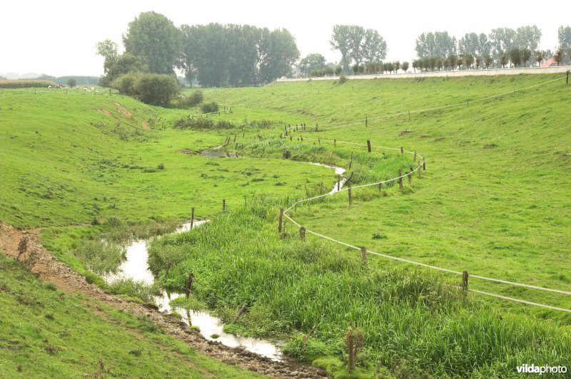 Zandbeek in de Maasuiterwaarden