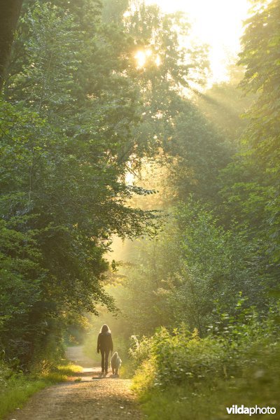 Wandelen in de Oude Landen