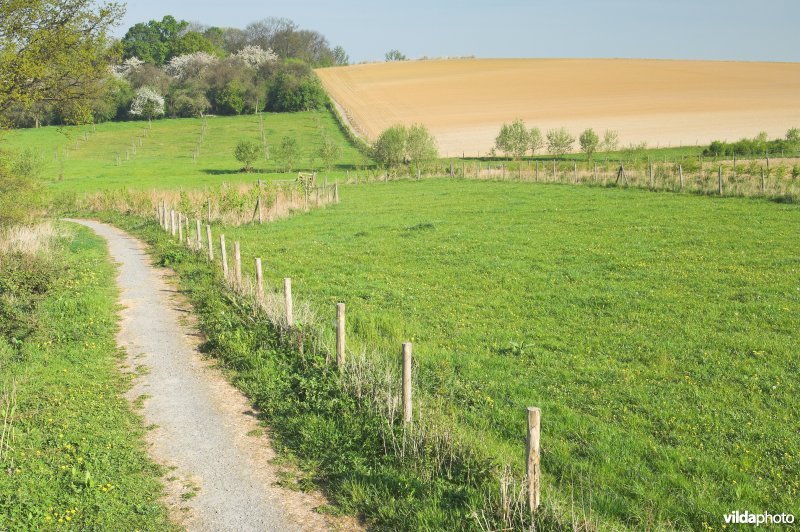 Natuurgebied Stasveld