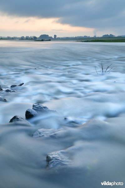 Stroomversnellingen op de Maas