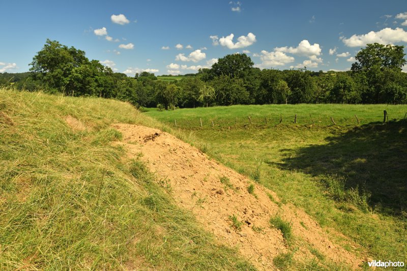 Dassenburcht in de Voerstreek