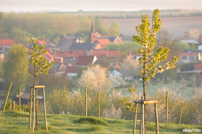 Reservaat Knoppel in Mettekoven