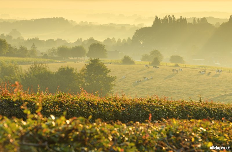 Lettenberg in Kemmel