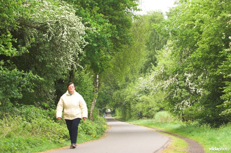 Wandelen langs het mijnwerkerspad langs Hasard