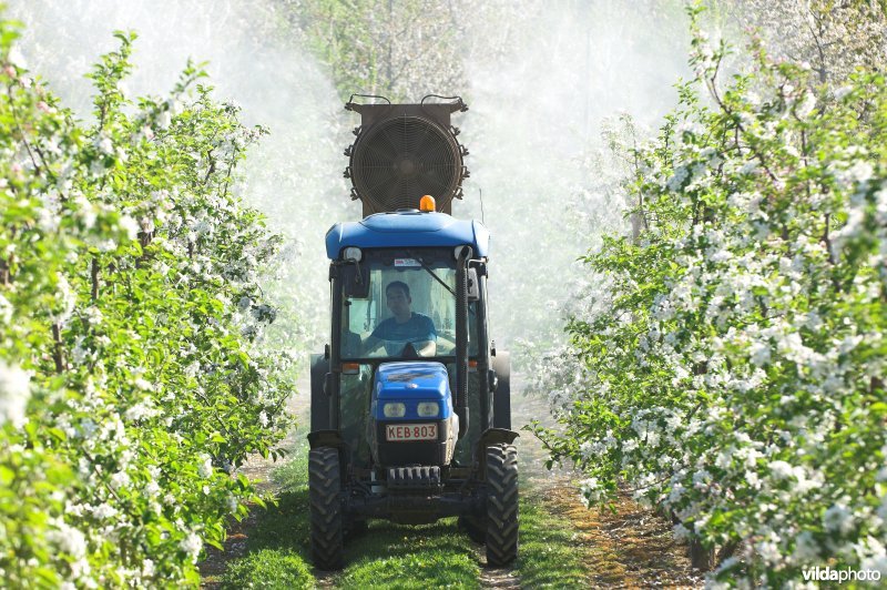 Besproeien van laagstamboomgaard met pesticiden