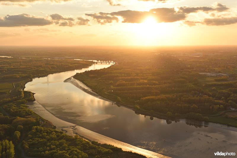 Schelde in Bornem