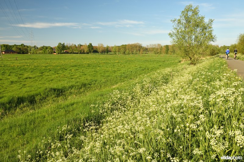 Wareslage aan de Durme