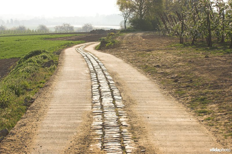 Romeinse heirweg in Grootloon