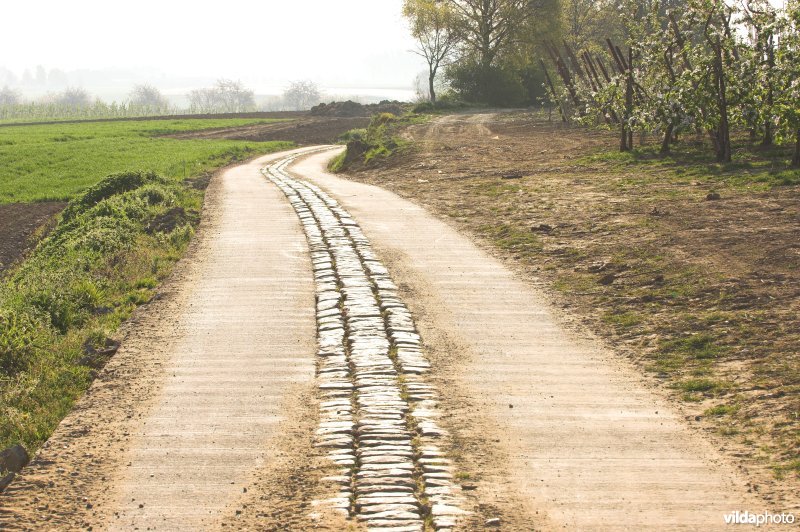 Romeinse heirweg in Grootloon