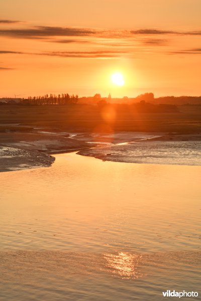 Lombardsijdekreek in de IJzermonding