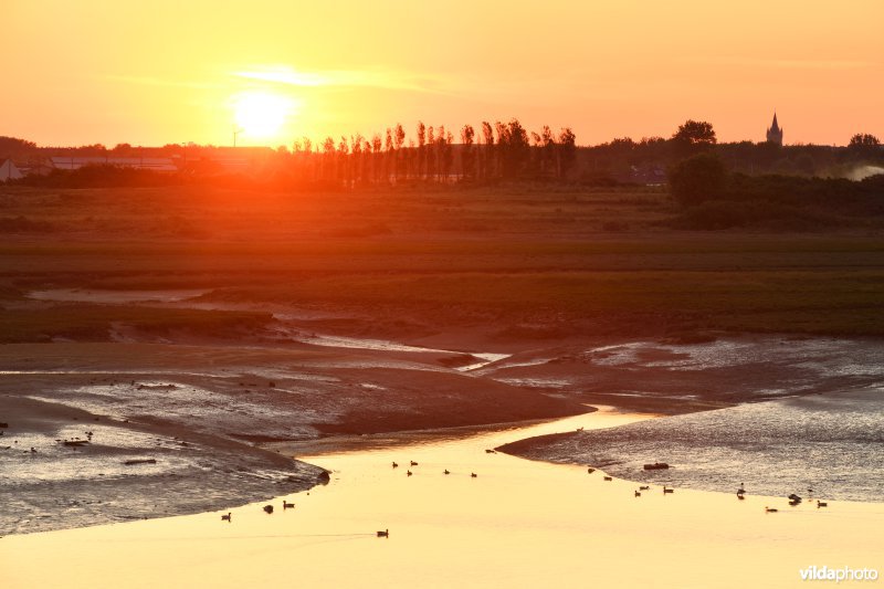 Lombardsijdekreek in de IJzermonding