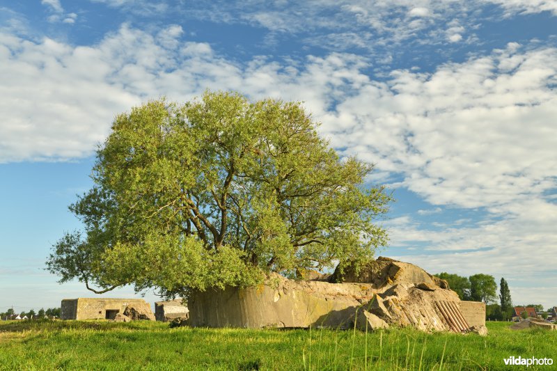Reservaat Schuddebeurze