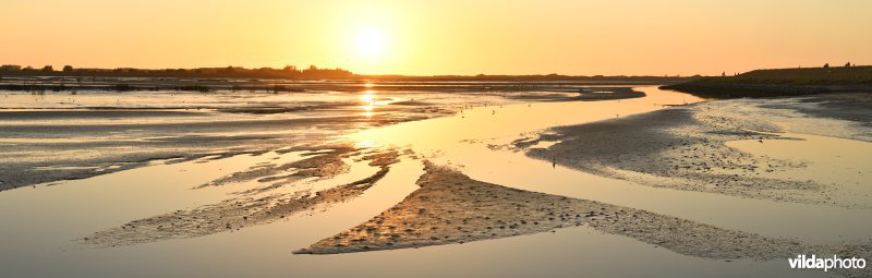 Zwinvlakte in de nieuwe uitbreiding