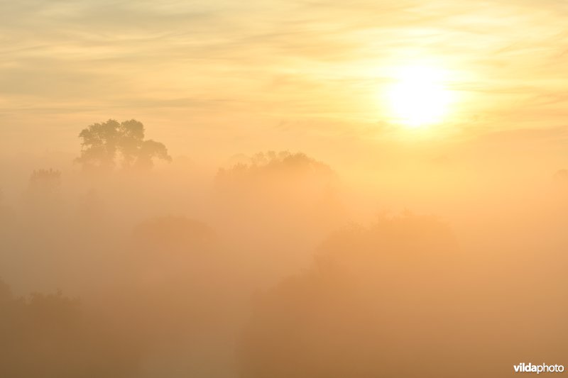 Ochtendnevel boven de Kleine Blankaart 