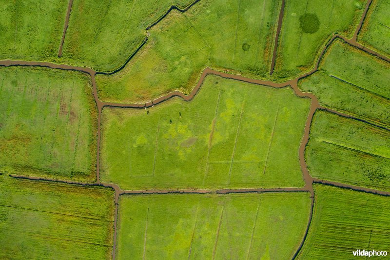 Polder Arkemheen