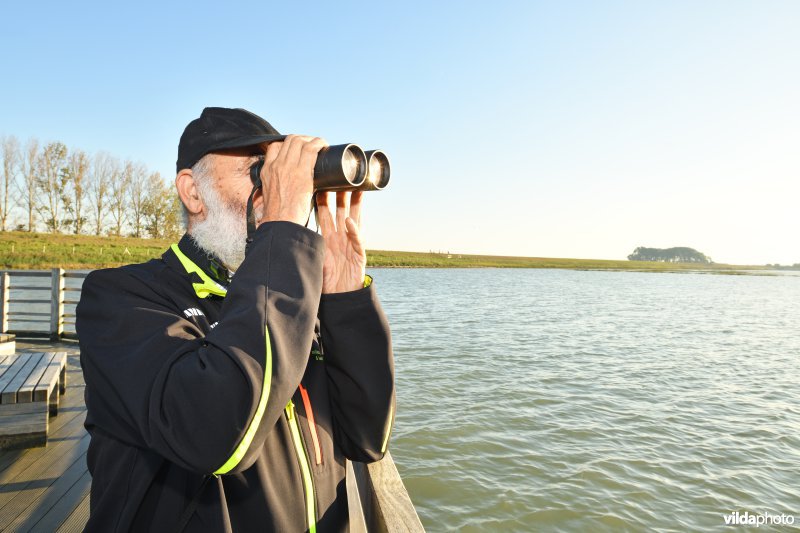 Vogelkijker in het Zwin