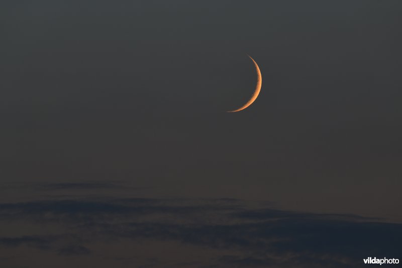 Nieuwe maan of wassende maan