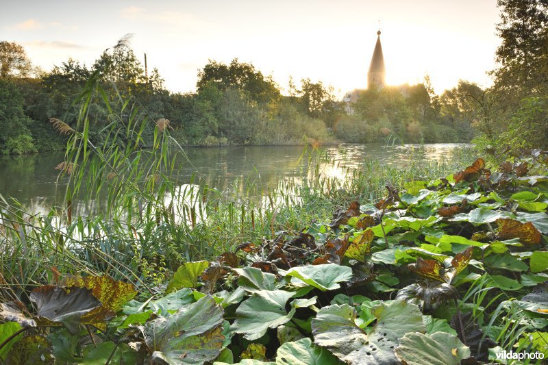 Oude Leie in Machelen