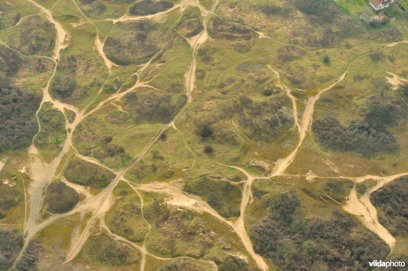 Spelleplekke duinen