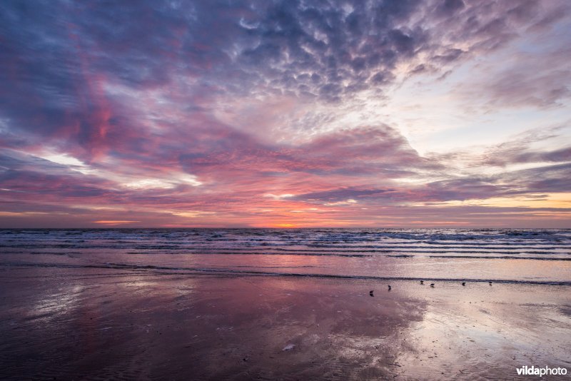 Zonsondergang aan het strand van IJmuiden