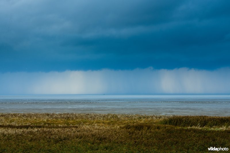 Westhoek, Friese Waddenkust