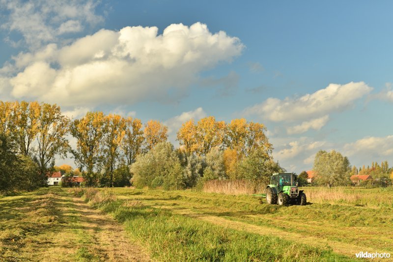 Boer keert hooi