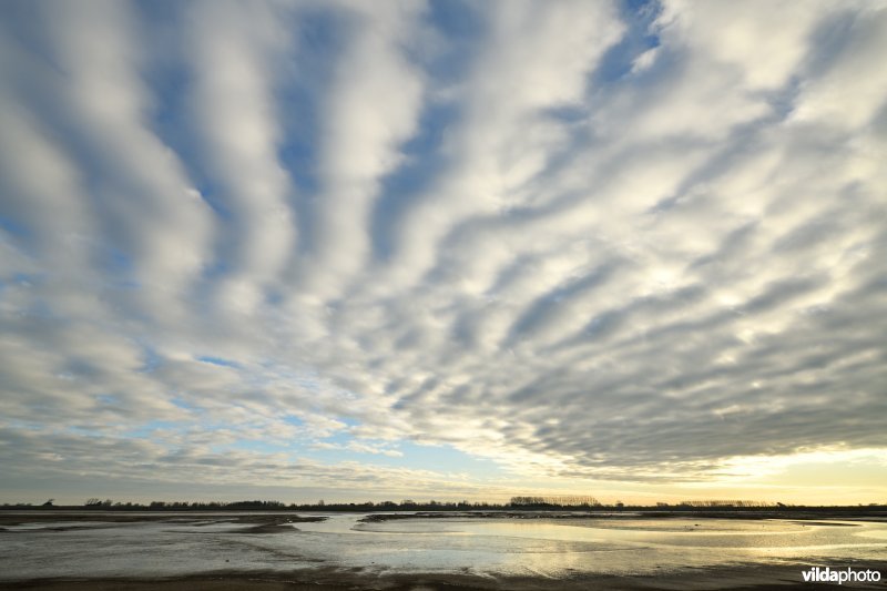 Wolkenstraat boven het Zwin