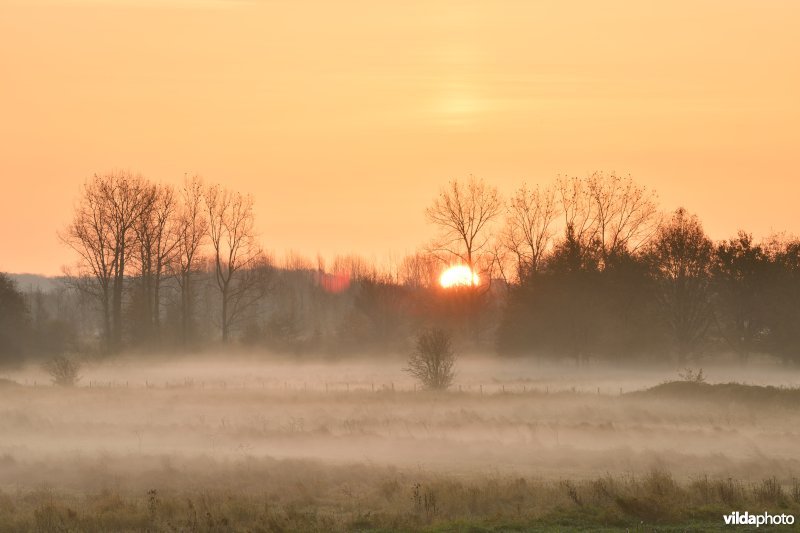 Demerbroeken