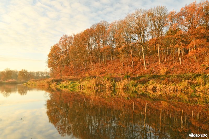 Voortberg aan de Demerbroeken in de herfst