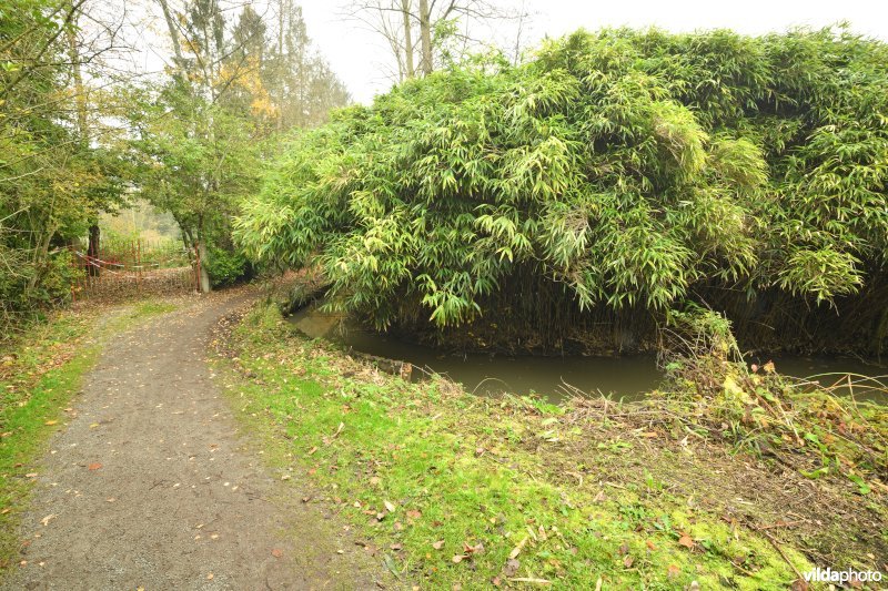 Wandelgebied Den Bunt