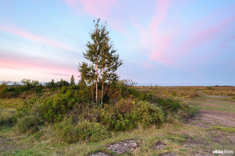 Store Alvaret, Öland, Zweden