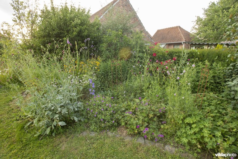 Natuurvriendelijke tuin met bloemenborder