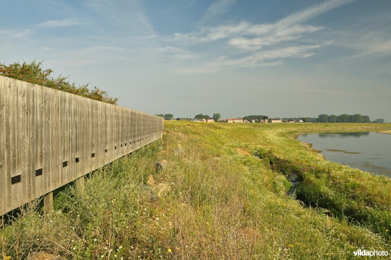 Vogelkijkwand aan de Maas