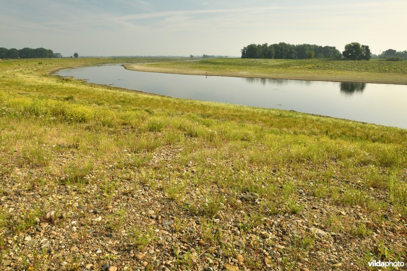 Maasvallei in Dilsen-Stokkem