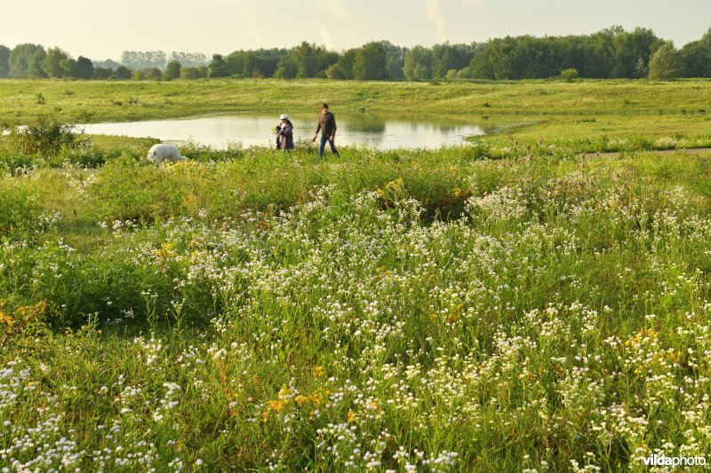 Natuurgebied Negenoord-Kerkeweerd