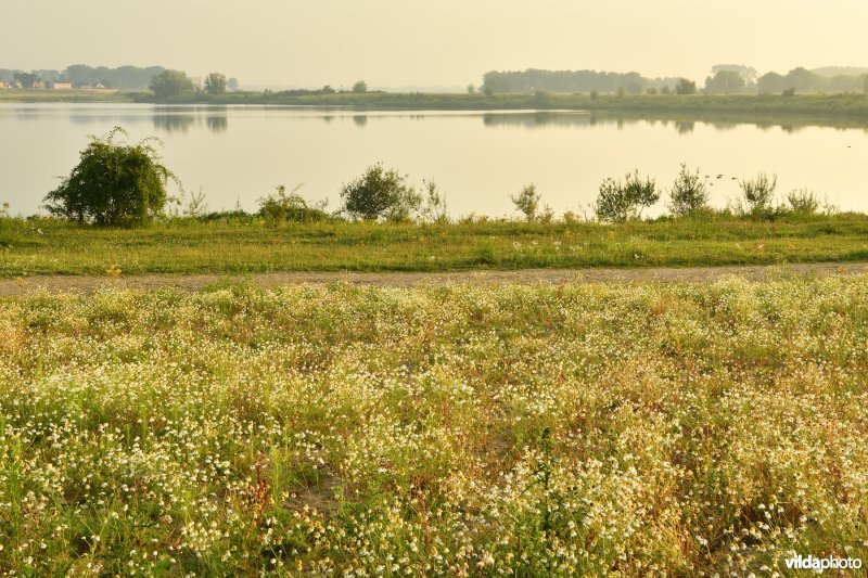 Natuurgebied Negenoord-Kerkeweerd