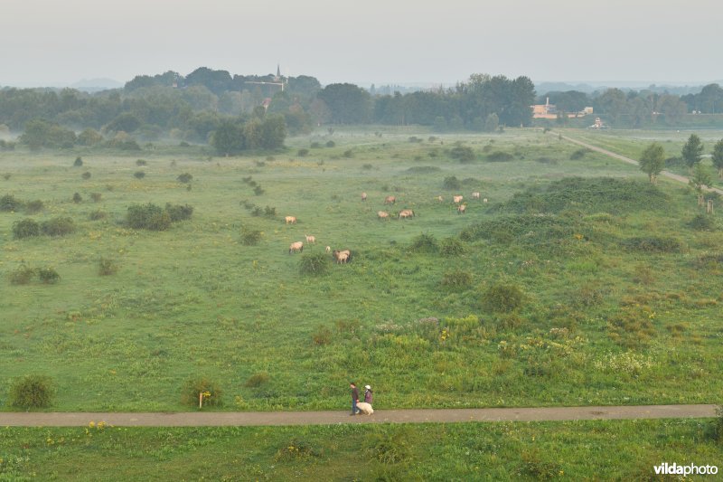 Natuurgebied Negenoord-Kerkeweerd