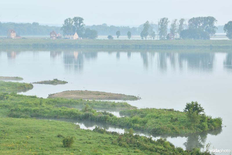 Natuurgebied Negenoord-Kerkeweerd