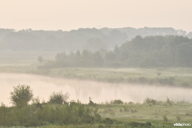 Natuurgebied Negenoord-Kerkeweerd