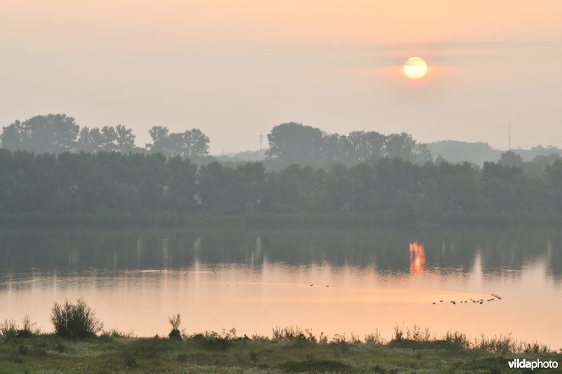 Natuurgebied Negenoord-Kerkeweerd