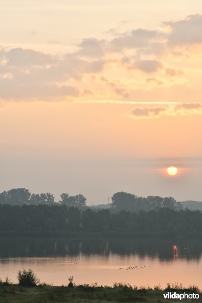 Natuurgebied Negenoord-Kerkeweerd