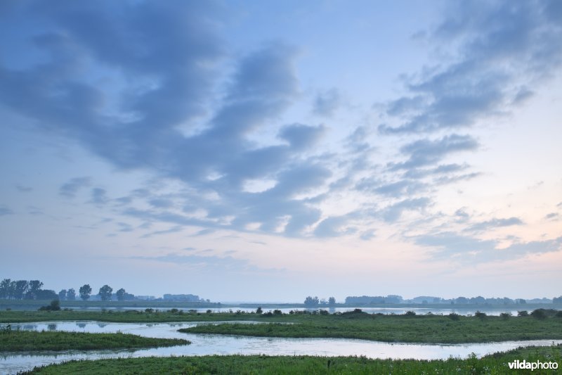 Natuurgebied Negenoord-Kerkeweerd